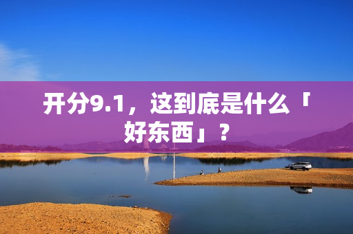 开分9.1，这到底是什么「好东西」？