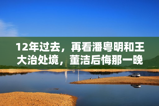 12年过去，再看潘粤明和王大治处境，董洁后悔那一晚的“冲动”吗