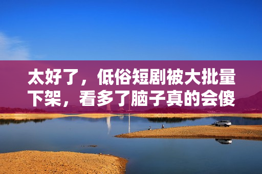 太好了，低俗短剧被大批量下架，看多了脑子真的会傻！