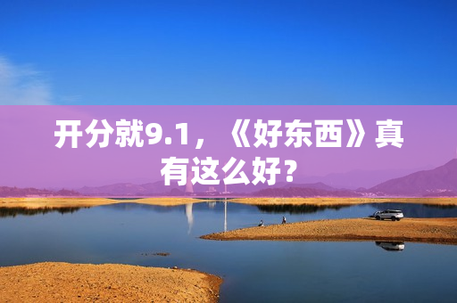 开分就9.1，《好东西》真有这么好？