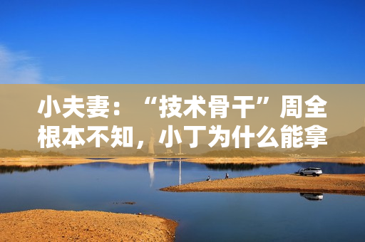 小夫妻：“技术骨干”周全根本不知，小丁为什么能拿到20万年薪？
