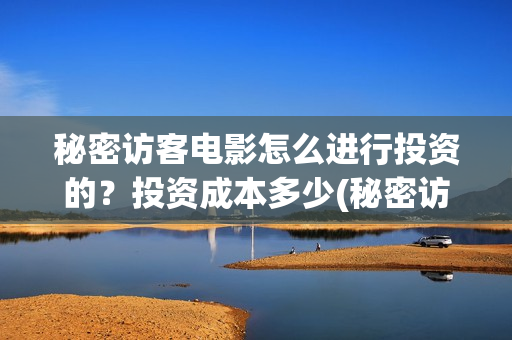 秘密访客电影怎么进行投资的？投资成本多少(秘密访客电影名)