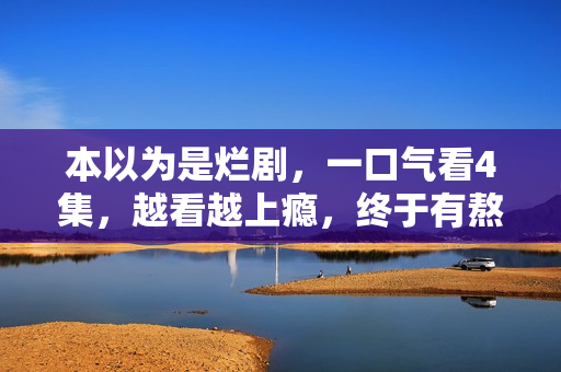 本以为是烂剧，一口气看4集，越看越上瘾，终于有熬夜追的剧了