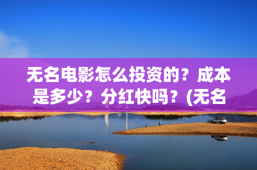 无名电影怎么投资的？成本是多少？分红快吗？(无名电影演员表)