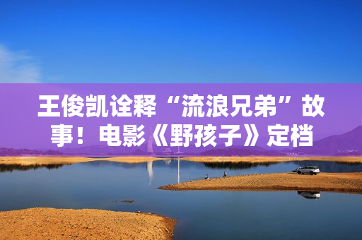王俊凯诠释“流浪兄弟”故事！电影《野孩子》定档
