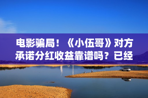 电影骗局！《小伍哥》对方承诺分红收益靠谱吗？已经合同认购可以追回吗？——抵制耐克(骗局改编电影)