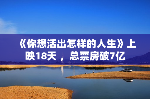《你想活出怎样的人生》上映18天 ，总票房破7亿