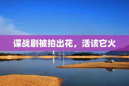 谍战剧被拍出花，活该它火