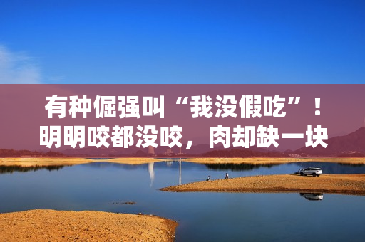 有种倔强叫“我没假吃”!明明咬都没咬,肉却缺一块,当观众瞎吗 有种倔强叫“我没假吃”!明明咬都没咬,肉却缺一块,当观众瞎吗