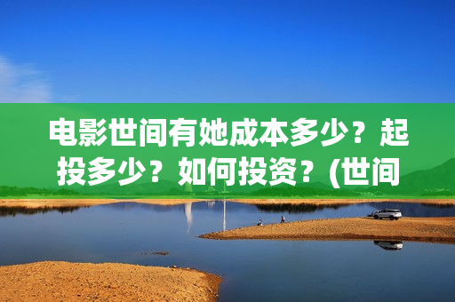电影世间有她成本多少?起投多少?如何投资?(世间有她成本) 电影世间有她成本多少?起投多少?如何投资?(世间有她成本)