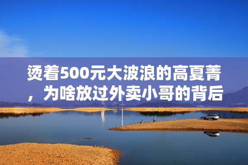 烫着500元大波浪的高夏菁，为啥放过外卖小哥的背后全是算计？