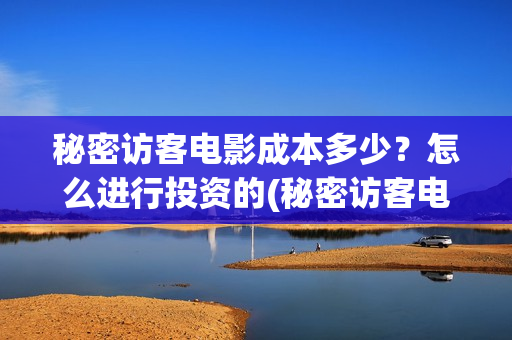 秘密访客电影成本多少？怎么进行投资的(秘密访客电影内容)