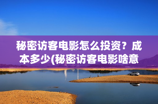 秘密访客电影怎么投资？成本多少(秘密访客电影啥意思)