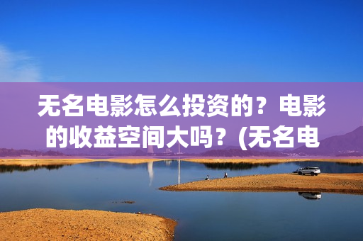无名电影怎么投资的？电影的收益空间大吗？(无名电影演员表)