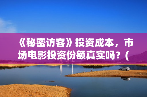 《秘密访客》投资成本，市场电影投资份额真实吗？(秘密访客剧)