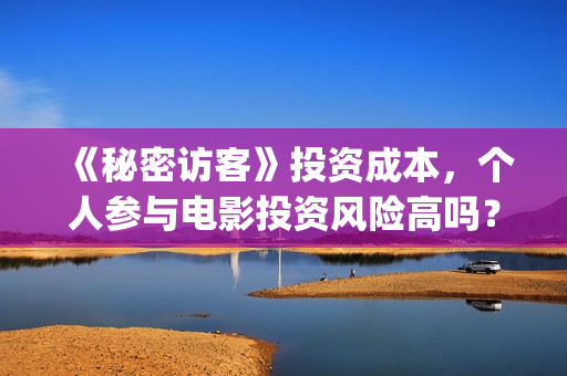 《秘密访客》投资成本，个人参与电影投资风险高吗？(秘密访客讲解析)