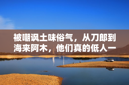 被嘲讽土味俗气，从刀郎到海来阿木，他们真的低人一等吗？