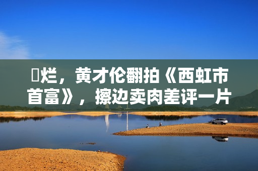 ​烂，黄才伦翻拍《西虹市首富》，擦边卖肉差评一片，票房仅6万