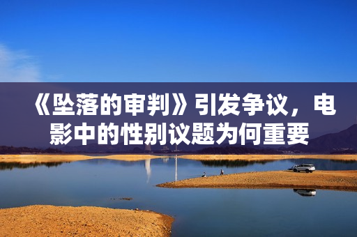 《坠落的审判》引发争议，电影中的性别议题为何重要