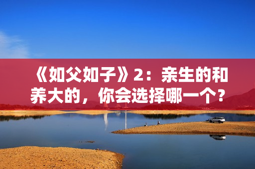 《如父如子》2:亲生的和养大的,你会选择哪一个? 《如父如子》2:亲生的和养大的,你会选择哪一个?