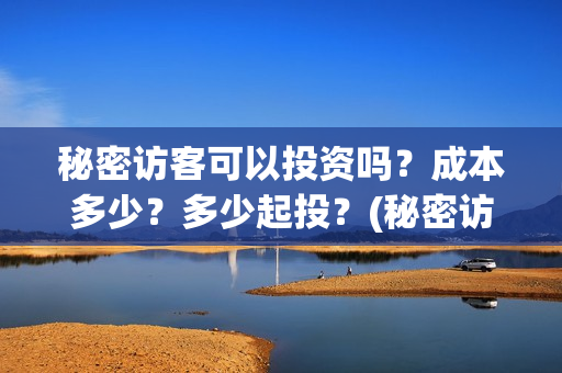 秘密访客可以投资吗？成本多少？多少起投？(秘密访客害怕么)