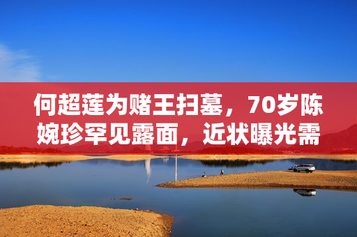 何超莲为赌王扫墓，70岁陈婉珍罕见露面，近状曝光需两人搀扶上山