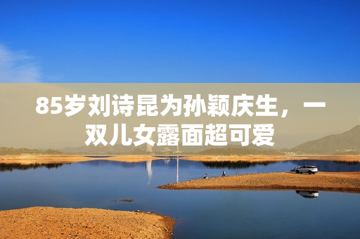 85岁刘诗昆为孙颖庆生,一双儿女露面超可爱 85岁刘诗昆为孙颖庆生,一双儿女露面超可爱