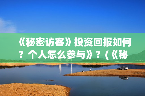 《秘密访客》投资回报如何？个人怎么参与》？(《秘密访客》剧情)