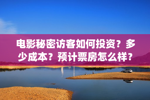 电影秘密访客如何投资？多少成本？预计票房怎么样？(电影 秘密访客)