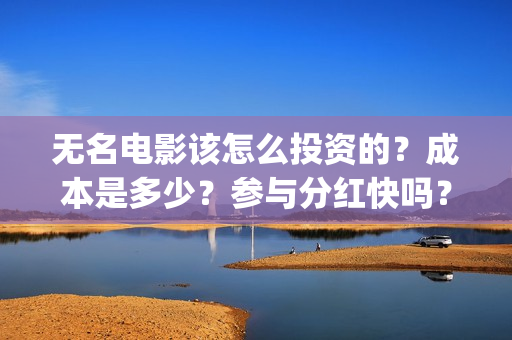 无名电影该怎么投资的？成本是多少？参与分红快吗？(电影《无名》)
