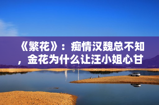 《繁花》：痴情汉魏总不知，金花为什么让汪小姐心甘情愿参加婚宴