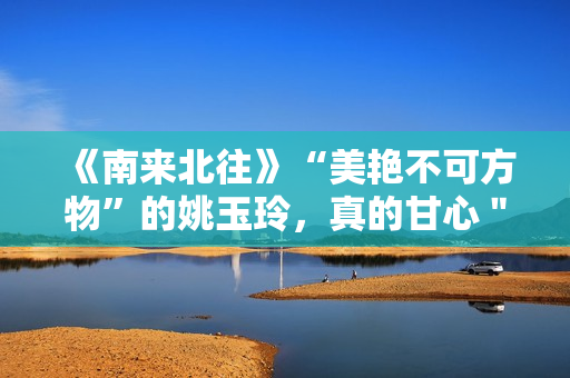 《南来北往》“美艳不可方物”的姚玉玲，真的甘心＂卖烤串＂吗？