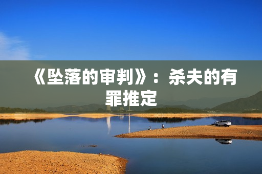 《坠落的审判》：杀夫的有罪推定