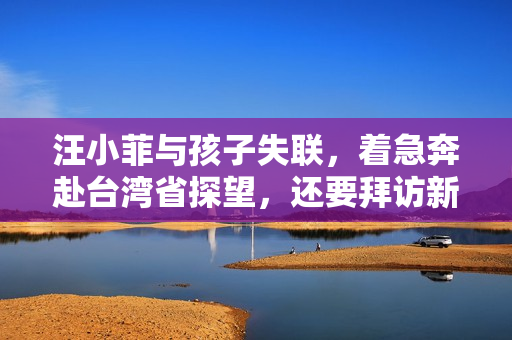 汪小菲与孩子失联，着急奔赴台湾省探望，还要拜访新丈母娘