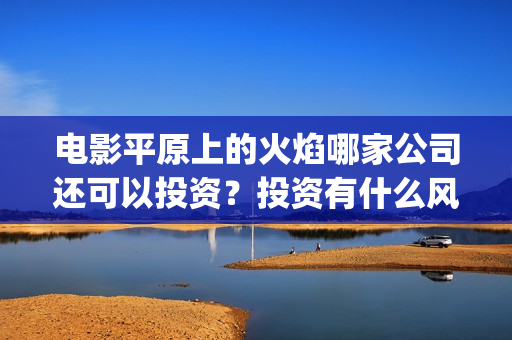 电影平原上的火焰哪家公司还可以投资？投资有什么风险？(电影平原上的火焰真凶是谁)