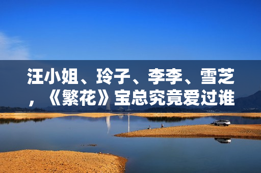 汪小姐、玲子、李李、雪芝，《繁花》宝总究竟爱过谁？