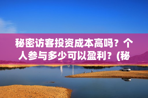 秘密访客投资成本高吗？个人参与多少可以盈利？(秘密访客电影投资效果价目表)