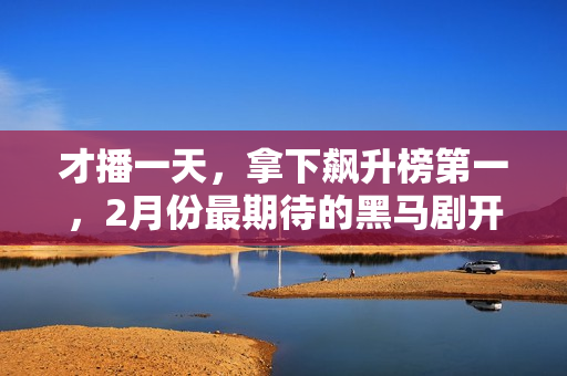 才播一天，拿下飙升榜第一，2月份最期待的黑马剧开播就炸了