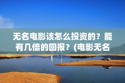 无名电影该怎么投资的？能有几倍的回报？(电影无名剧情介绍)
