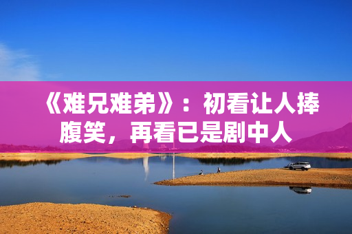 《难兄难弟》：初看让人捧腹笑，再看已是剧中人