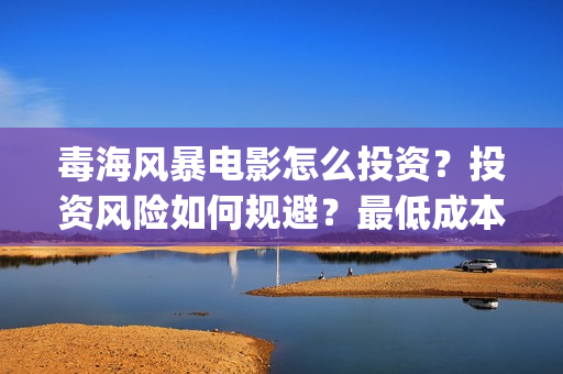 毒海风暴电影怎么投资？投资风险如何规避？最低成本多少？(毒海风暴上映时间)