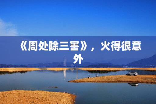 《周处除三害》,火得很意外 《周处除三害》,火得很意外