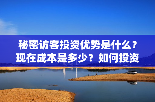 秘密访客投资优势是什么?现在成本是多少?如何投资?(秘密访客成本) 秘密访客投资优势是什么?现在成本是多少?如何投资?(秘密访客成本)