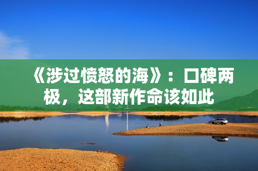 《涉过愤怒的海》：口碑两极，这部新作命该如此