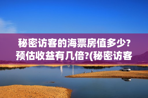 秘密访客的海票房值多少?预估收益有几倍?(秘密访客买票)