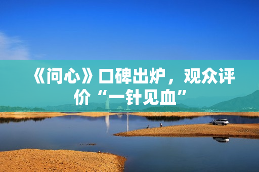 《问心》口碑出炉,观众评价“一针见血” 《问心》口碑出炉,观众评价“一针见血”