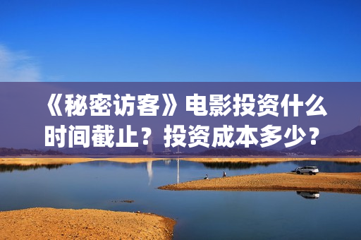 《秘密访客》电影投资什么时间截止？投资成本多少？(秘密访客完整电影)