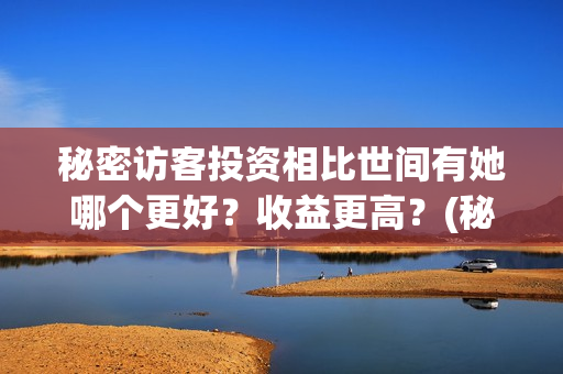 秘密访客投资相比世间有她哪个更好？收益更高？(秘密访客总投资)