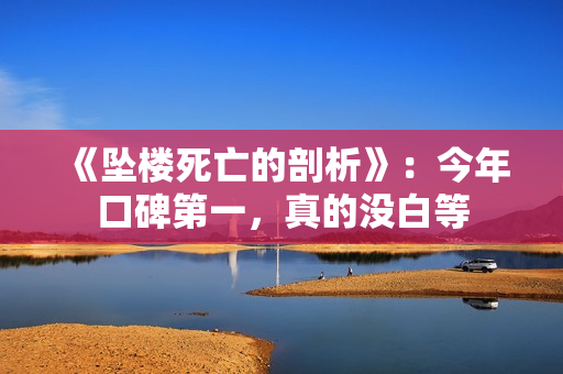 《坠楼死亡的剖析》：今年口碑第一，真的没白等
