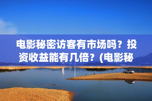 电影秘密访客有市场吗?投资收益能有几倍?(电影秘密访客有几部) 电影秘密访客有市场吗?投资收益能有几倍?(电影秘密访客有几部)